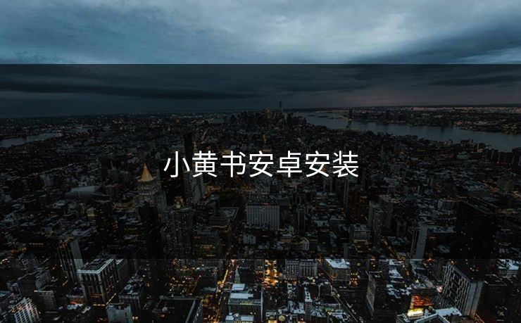 小黄书安卓安装