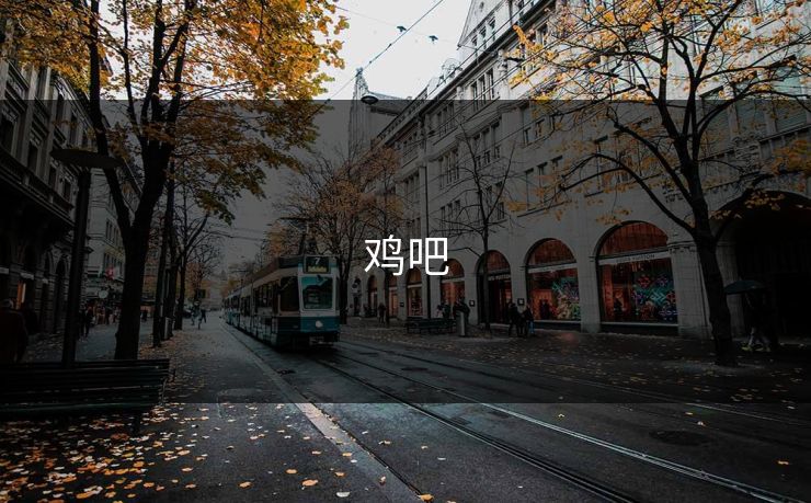 鸡吧